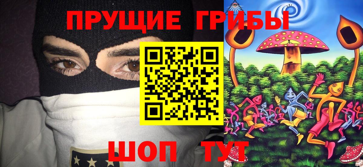 Галлюциногенные грибы Psilocybine cubensis Зеленодольск