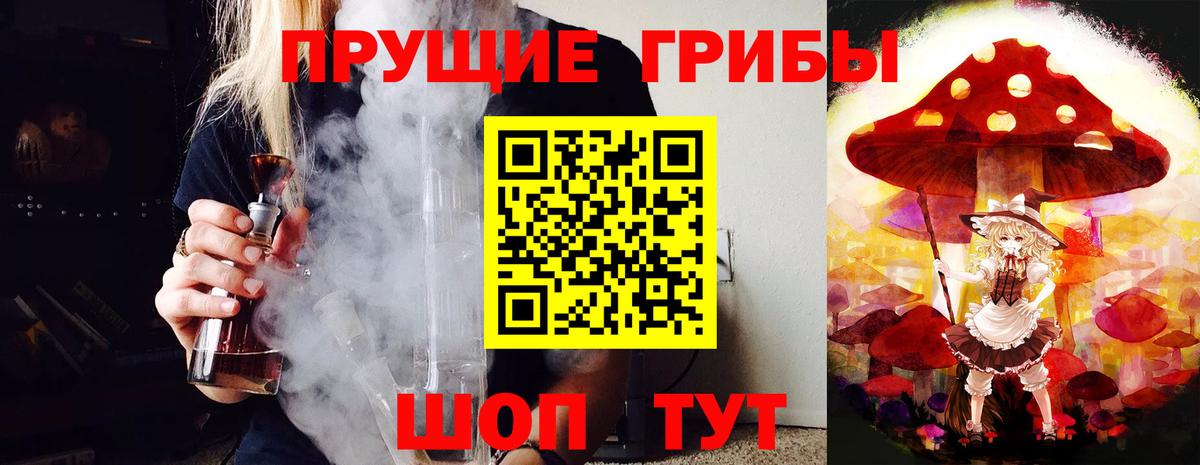 Зеленодольск  Псилоцибиновые грибы MAGIC MUSHROOMS  Галлюциногенные грибы GOLDEN TEACHER  Вход с VPN 